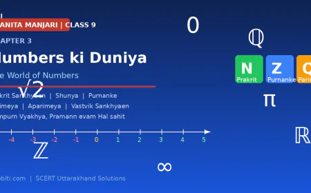 संख्याओं की दुनिया — गणित मंजरी कक्षा 9 अध्याय 3 सम्पूर्ण हल |