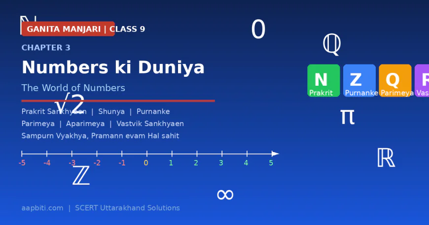 संख्याओं की दुनिया — गणित मंजरी कक्षा 9 अध्याय 3 सम्पूर्ण हल |