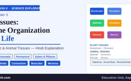 NCERT Class 9 Science Exploration Chapter 3 – ऊतक: जीवन की कार्यशाला | सम्पूर्ण हिंदी व्याख्या