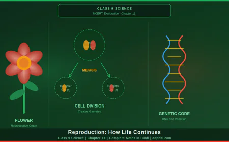Class 9 Science Chapter 11 – जनन: जीवन कैसे जारी रहता है | सम्पूर्ण हिंदी व्याख्या एवं प्रश्नोत्तर