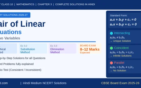 NCERT Class 10 Maths Chapter 3 Pair of Linear Equations in Two Variables - Graphical Substitution Elimination Method Solutions in Hindi