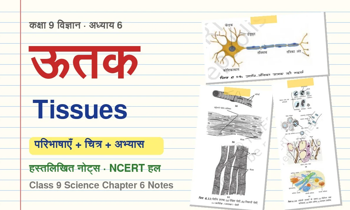 tissues-class-9-chapter-6-notes