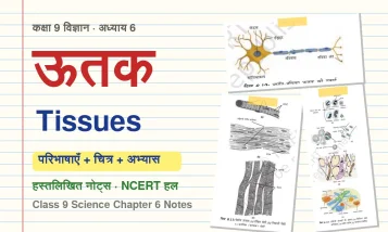 tissues-class-9-chapter-6-notes