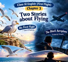Class 10 English First Flight Chapter 3 Two Stories about Flying - His First Flight and The Black Aeroplane study notes, summary, and Q&A.